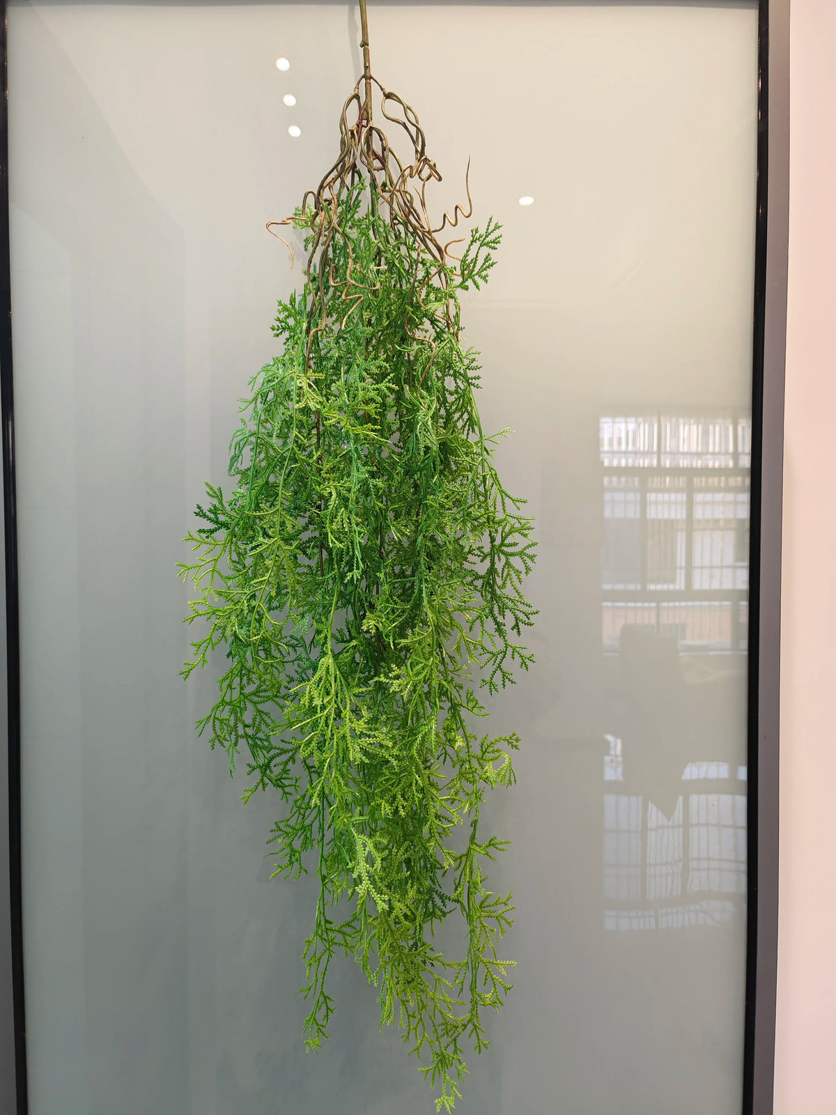 Artificial hanging ivy vine with green leaves displayed in a glass frame.