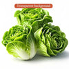 A cluster of vibrant green lettuce leaves with a ruffled texture on a transparent background.
