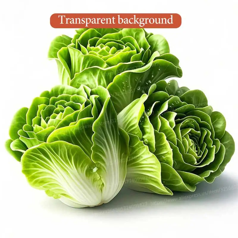 A cluster of vibrant green lettuce leaves with a ruffled texture on a transparent background.