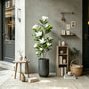 A tall artificial magnolia tree with white silk flowers in a dark gray pot displayed on a modern interior wall.