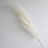 A long, feathery, beige artificial pampas grass stem used for boho home decor.