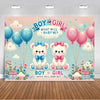 A pink and blue gender reveal backdrop featuring teddy bears, balloons, and floral elements for a boy or girl announcement.