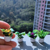 A hand holds a set of miniature potted plants with green and yellow leaves on a gray surface.