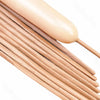 A bundle of light beige magic twisting balloons with long stems and tips.