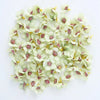 A cluster of small, pale green silk artificial flower heads with pink and yellow stamens.
