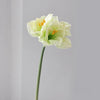 A single white artificial clivia amaryllis flower with yellow stamens on a green stem.