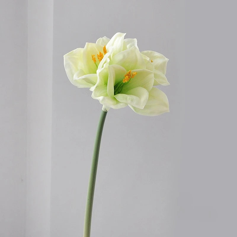 A single white artificial clivia amaryllis flower with yellow stamens on a green stem.