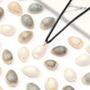 Natural Sea Snail Shell Beads for DIY Jewelry Making