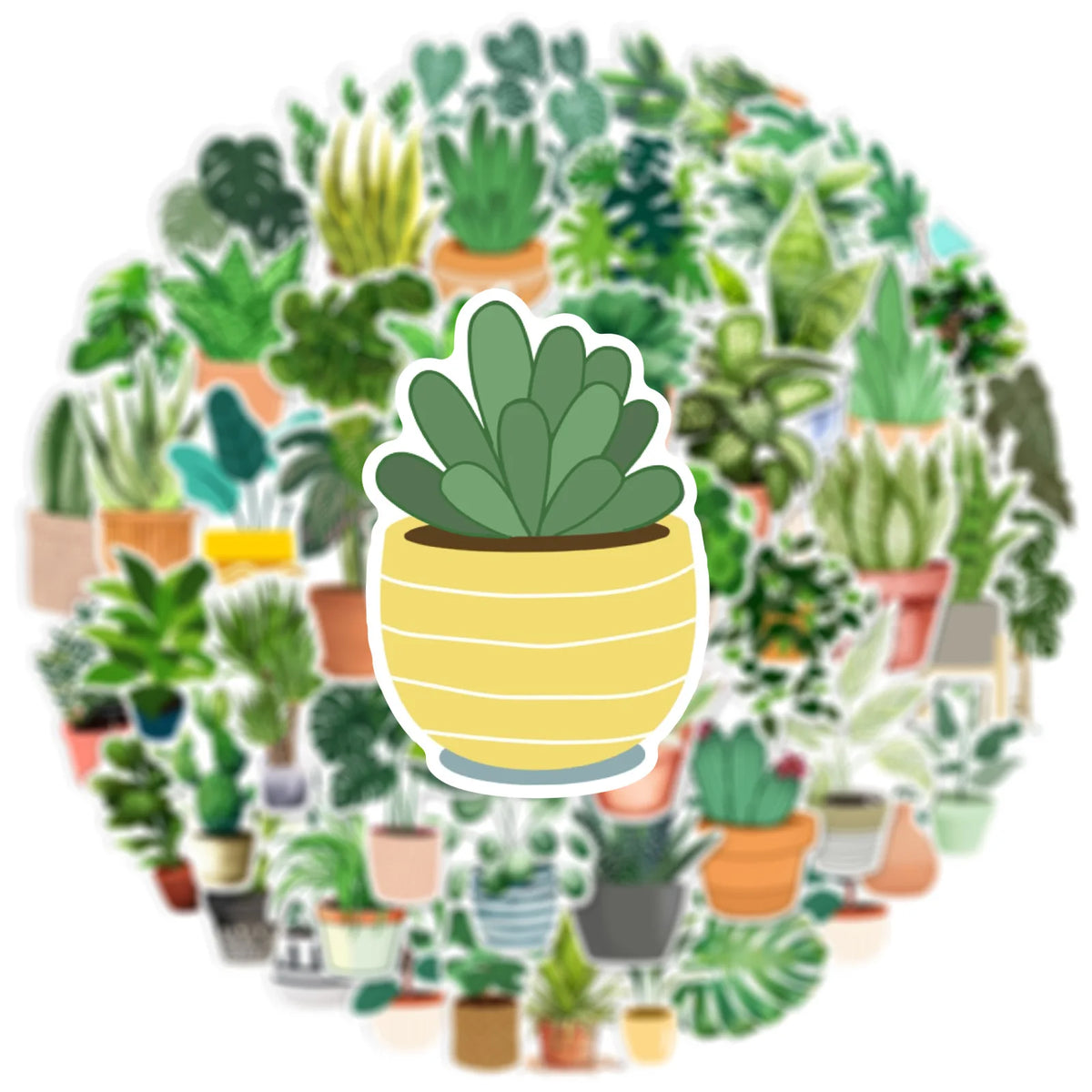 A circular arrangement of various potted succulent plants and greenery.