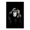 A black and white portrait of a monkey with expressive eyes and fur against a dark background.