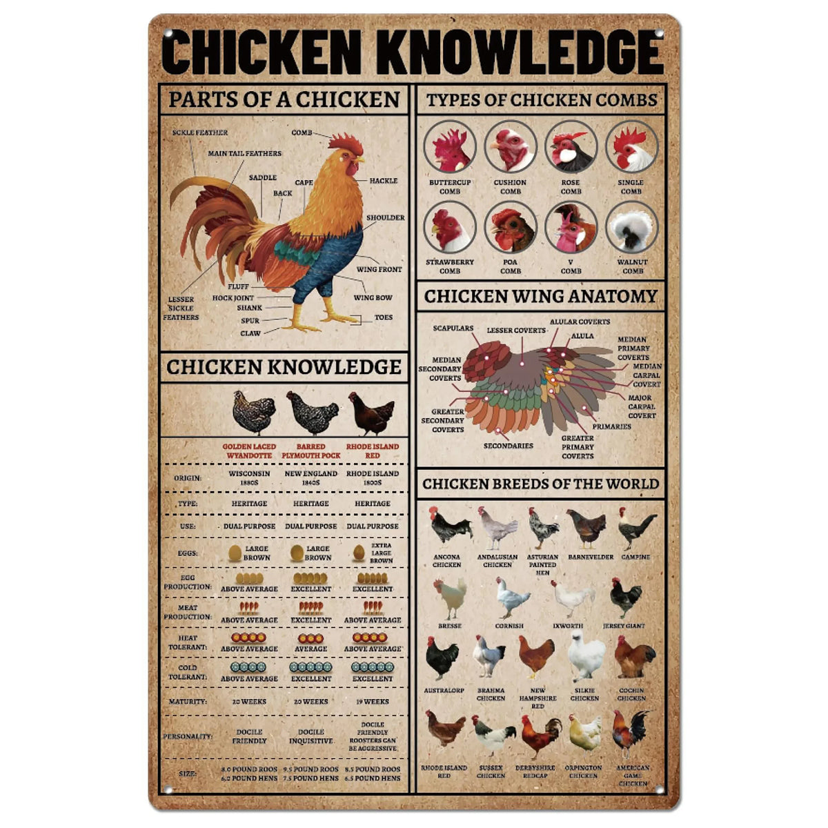 Vintage Bauernhof-Hähnchen-Dekoration mit Metallsignage, Details und Krallen eines Huhns