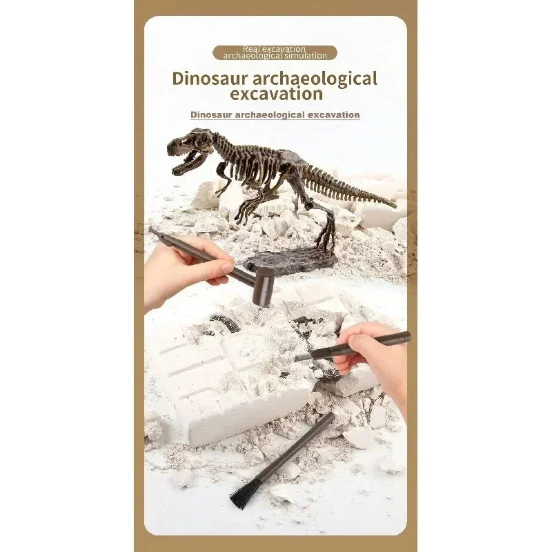 A dinosaur excavation kit showing a dinosaur model and tools used for archaeological simulation.