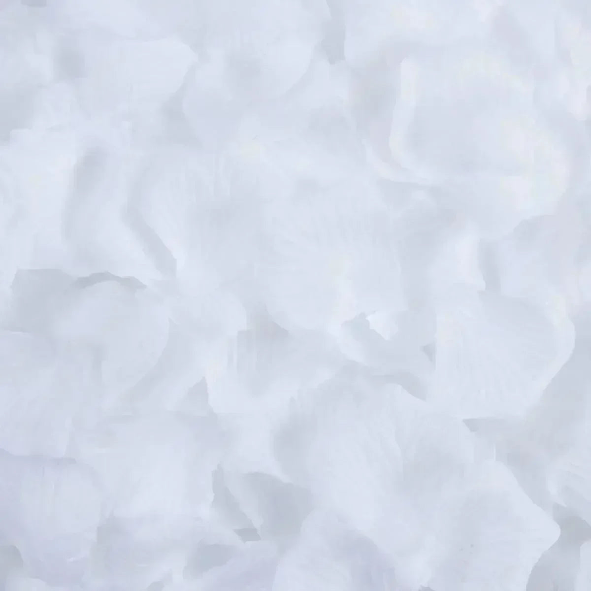 White silk rose petals scattered on a surface for weddings and special events