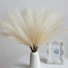 A bundle of fluffy, cream-colored pampas grass stems in a white vase next to a framed floral print.