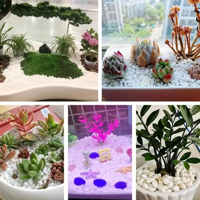 A collection of natural polished white pebble stones used for aquariums and planters.