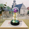 Une rose de verre éternelle avec une lumière LED est exposée sur un livre, avec un fond de peinture d'église et de paysage.
