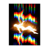 Abstract light painting of a figure silhouetted against vibrant rainbow colors on a black background.