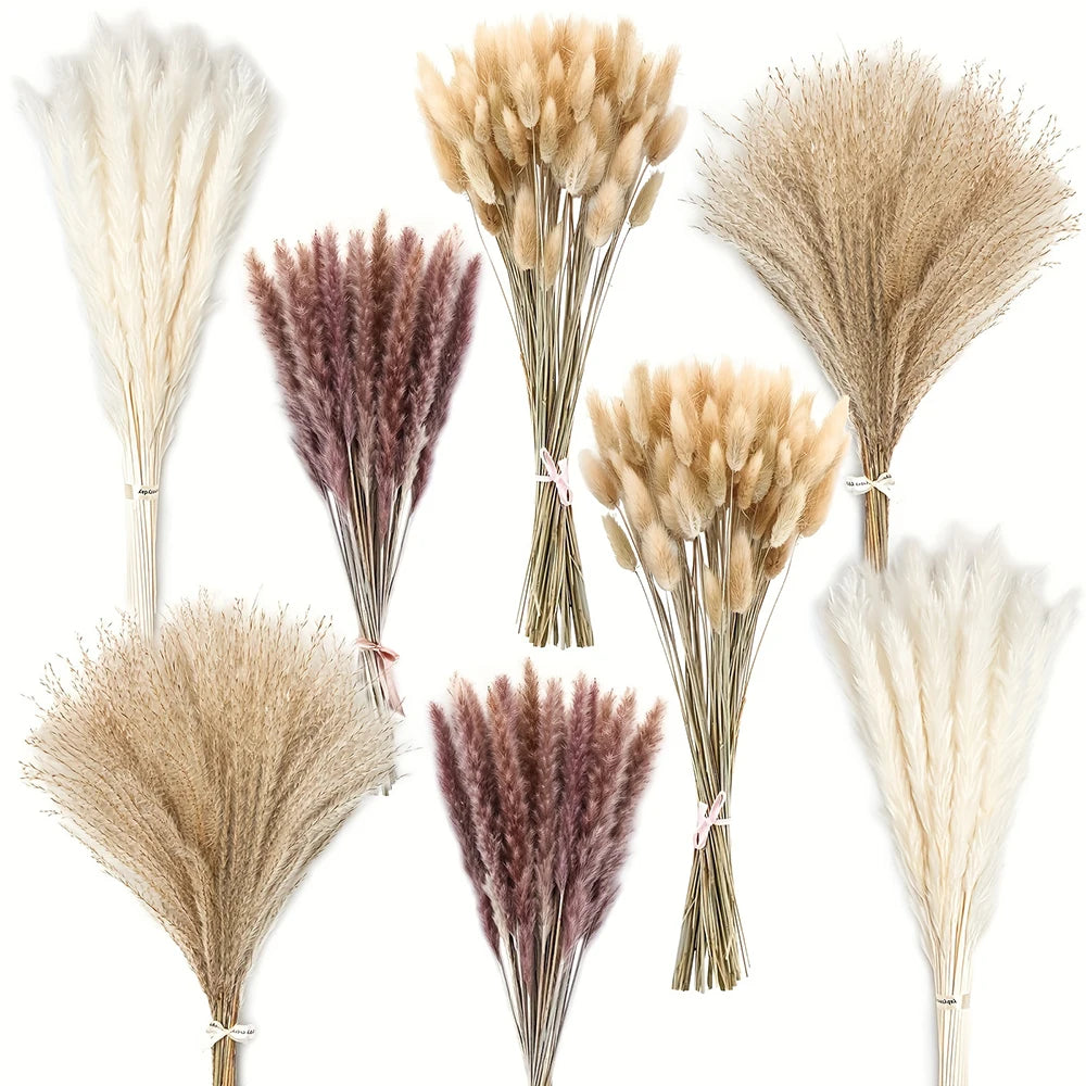 Collection de queues de lapin de pampas séchées dans diverses nuances de beige, brun et crème.