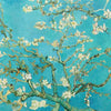 A branch of flowering tree with light blossoms against a bright turquoise sky.