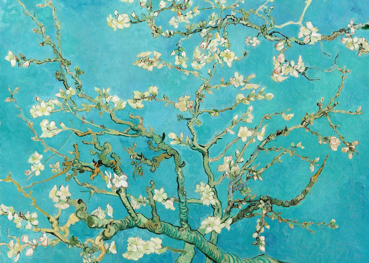 A branch of flowering tree with light blossoms against a bright turquoise sky.