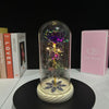 A rose crystal flower is displayed inside an illuminated glass dome on a black stand.