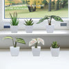 A display of six potted artificial flower bonsai plants in white pots on a shelf.