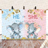 A gender reveal banner featuring two baby elephants, one blue and one pink, set against a floral background.
