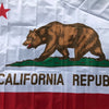 The flag of the California Republic featuring a brown bear standing on green land with a red star above and text below.