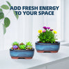 Two ceramic succulent planters filled with various green and purple succulents on a white table.