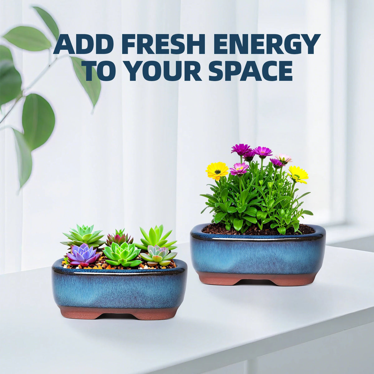 Two ceramic succulent planters filled with various green and purple succulents on a white table.