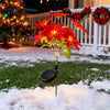 A vibrant red poinsettia flower illuminated by solar garden lights in a snowy outdoor setting.