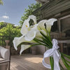 A bouquet of five white calla lily stems with green leaves tied with a white ribbon