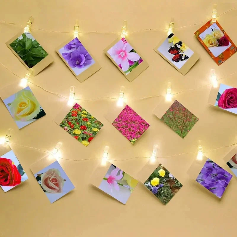 A display of colorful pressed flowers and botanical specimens arranged on clear plastic clips hanging from string lights.