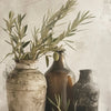 A still life featuring olive branches and green fruit in antique glass bottles against a textured, light background.