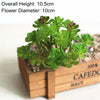 Artificial Succulent Bonsai for Desk & Home Decor