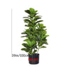 A tall artificial fiddle leaf fig tree with lush green leaves in a black pot.