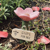 A wooden tag labeled CUPS FOR BEE is placed in the dirt next to a pink flower.