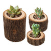 A set of rustic wooden stump candle holders, each containing a small succulent plant.