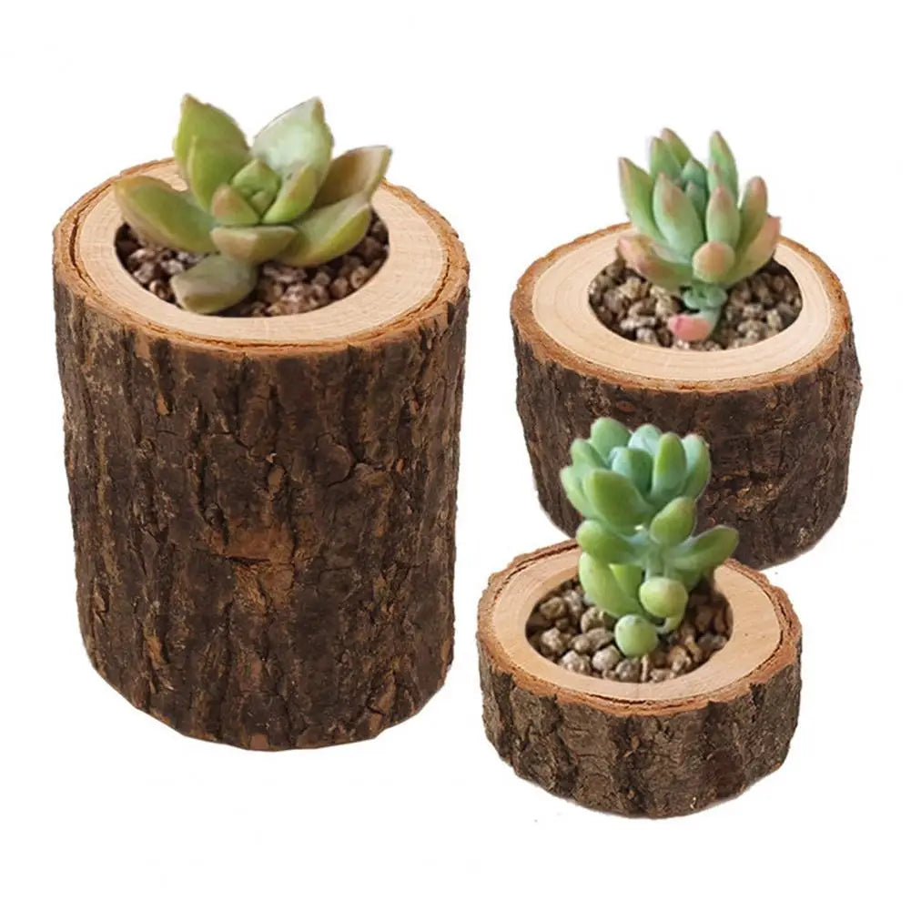 A set of rustic wooden stump candle holders, each containing a small succulent plant.