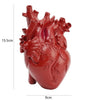 A realistic, red heart-shaped resin model of a human heart with visible arteries and veins.