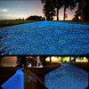 Close-up of blue glow-in-the-dark luminous pebbles used for garden or aquarium decor.