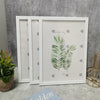 A set of three white wooden photo frames displayed against a gray wall with green foliage.