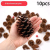 A hand holds a cluster of 10 natural dried American pine cones for seasonal decoration.