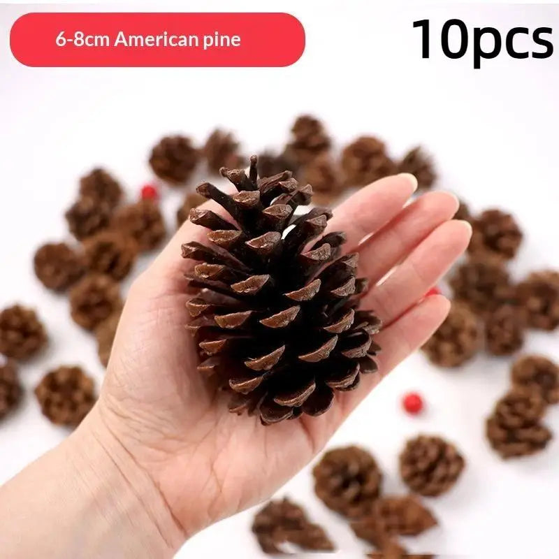 A hand holds a cluster of 10 natural dried American pine cones for seasonal decoration.