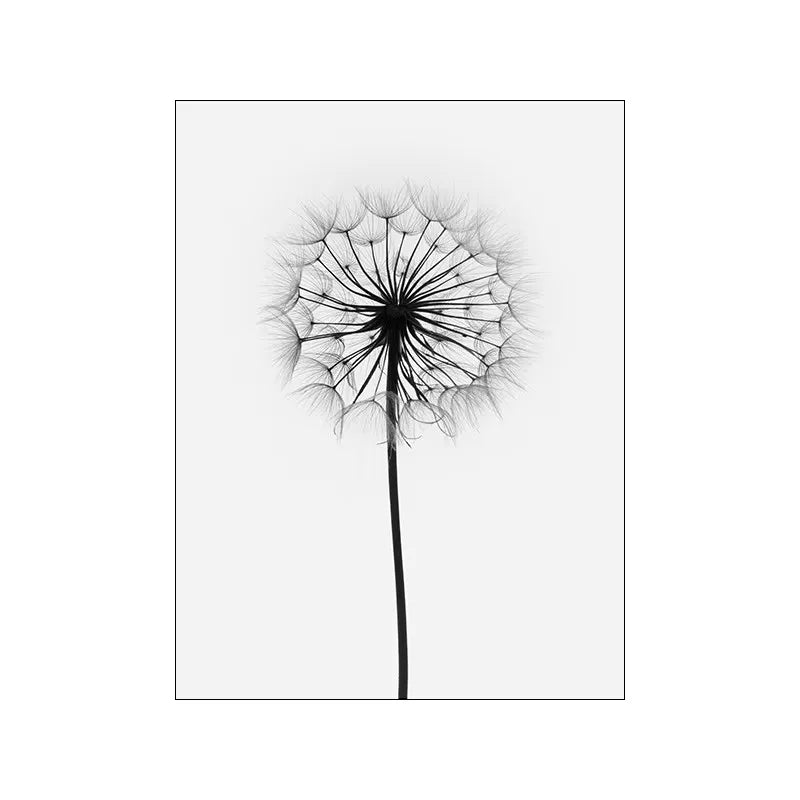 Black and white abstract art of a dandelion seed head against a white background