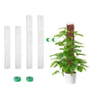 A set of white plastic moss pole plant supports for climbing plants, including vertical poles and green plant supports.