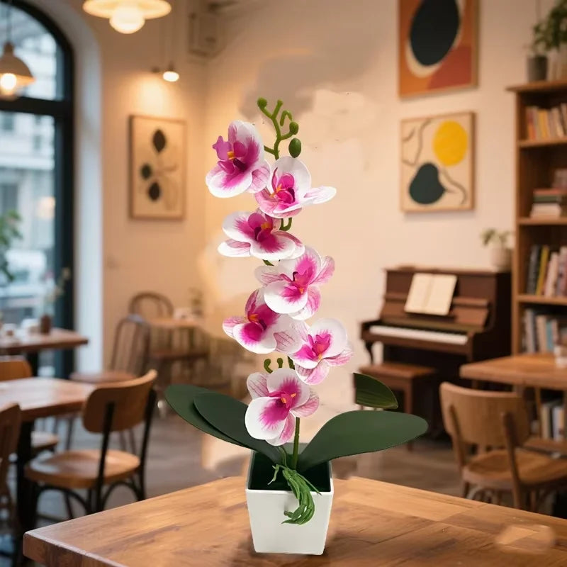 A pink and white orchid plant in a white pot displayed on a wooden table.