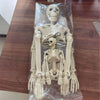 A white movable skeleton decoration featuring a full skeletal structure, packaged in clear plastic.