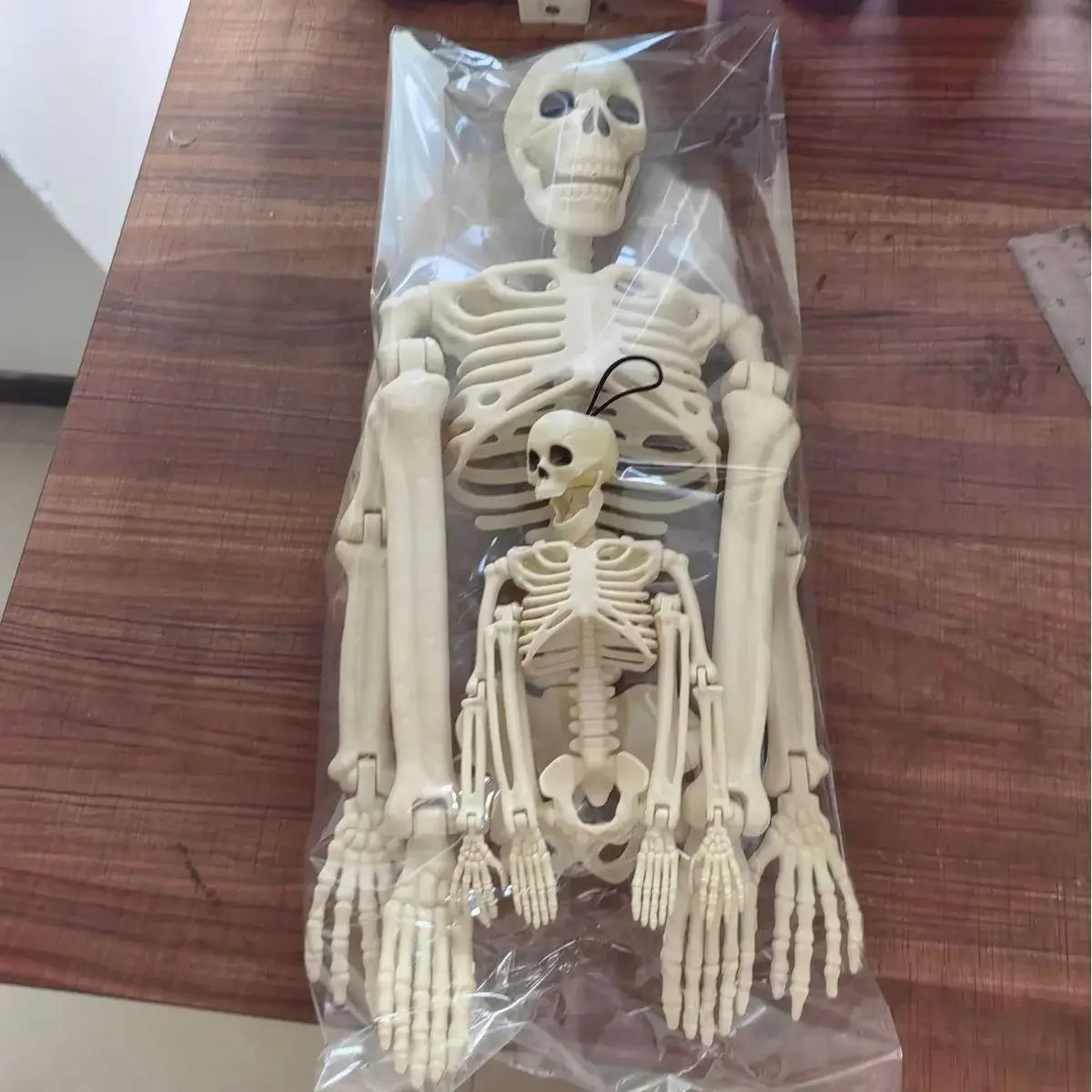 A white movable skeleton decoration featuring a full skeletal structure, packaged in clear plastic.