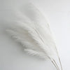 A close-up of white artificial pampas grass branches used for boho home and wedding decor.